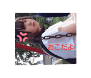 272564551