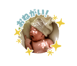 272573280
