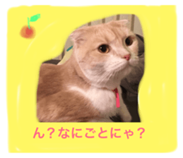 27258702