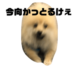 272632777