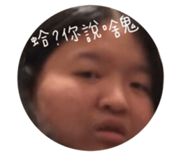 272689911
