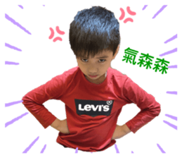272706658