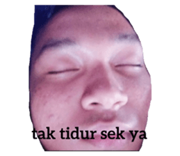 272758626