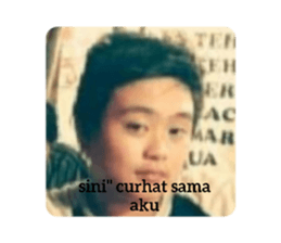 272758629