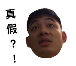 272803378