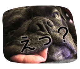 27282959