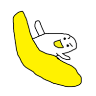 272891062