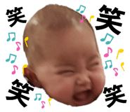272908081