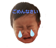 272908086