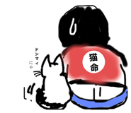 272940531