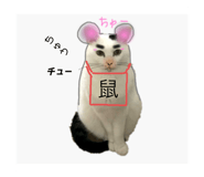 272940536