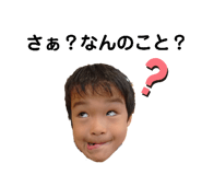 272943892