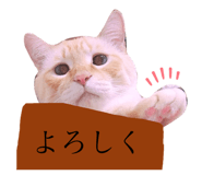 272945363