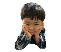 273003050