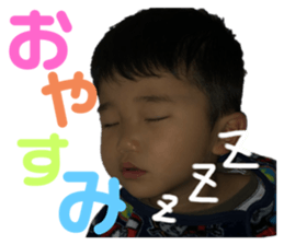 273070610