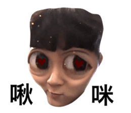 273076768