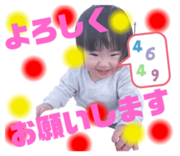 273077629