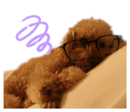 273129835