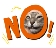 273176182