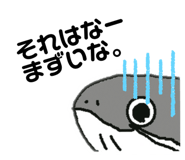 273186904