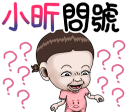 273188339