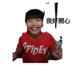 273219316
