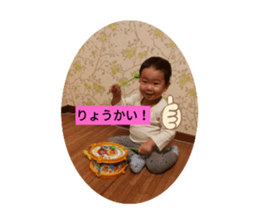 273263455
