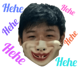 27327916