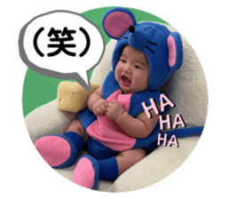 273363750