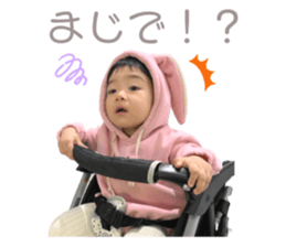 273367664
