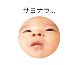 27338547