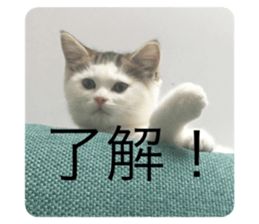 273402286