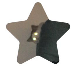 273402292