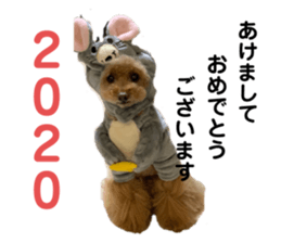 273404018