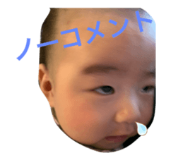 273434093
