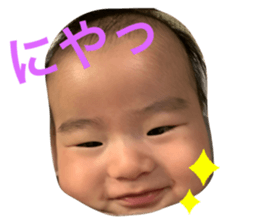 273434096