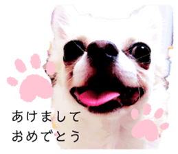 273466390