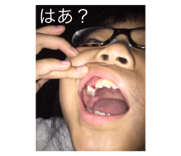 273468684
