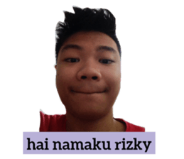 273470117