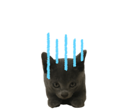 273536265