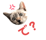 273536267