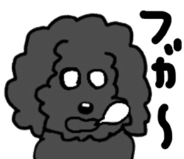 273553062