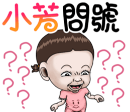 273563835