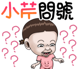 273564987