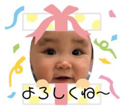 273661680