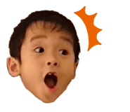 273661770