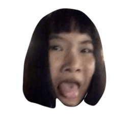 273662285