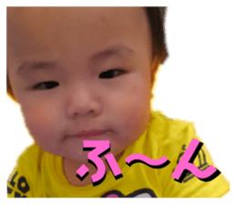 273721536