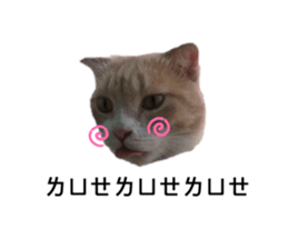 273796817