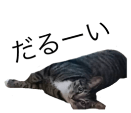 27380710